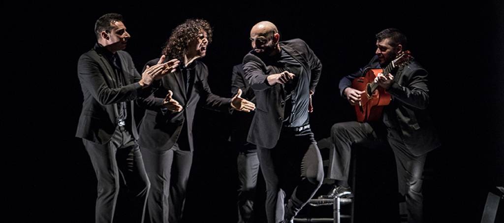 Bailaor flamenco destacado — Flamenco Pasión