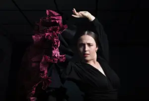 Bailaores — Flamenco Pasión