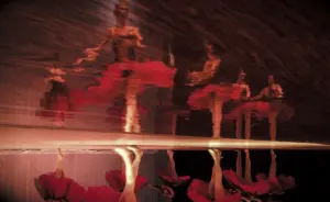 Ballets — Flamenco Pasión